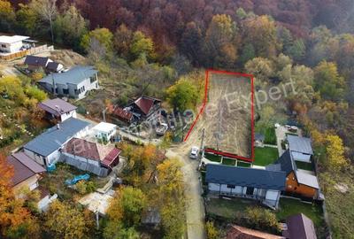 Teren de vanzare in Curtea de Arge?, Strada Anghele?ti. - 8