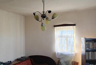 Casă cu 3 camere cu Teren 4000 Mp în Comișani - 3