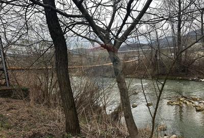 Casă cu 3 camere cu Teren 3440 Mp în Central - 5