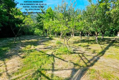 Proprietate la 5 km de oras- Vila P+1+ 5600 mp teren - 8