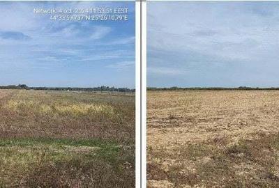 Teren extravilan Corbii Mari , ID: R2263408 - 1