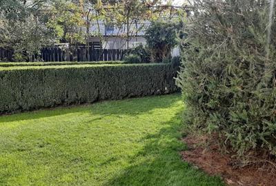 Casă cu 3 camere cu Teren 837 Mp în Petrăchioaia - 4