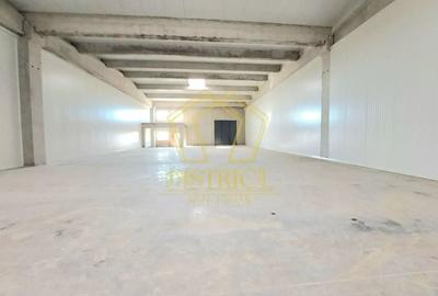 Spatiu tip Hala Noua I Sanandrei - 3