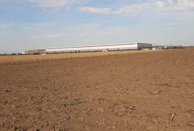 Teren, zona industriala, in Domnesti. Tarlaua 7, depozitele Logistics Park, A1 - 11