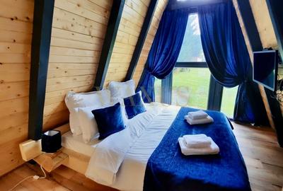Teren 34,5 ari + cabana A-frame Colibita – ideal pentru resort, spa sau pensiune - 7