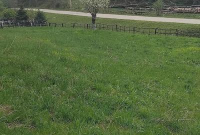 Teren de 1727 mp, în Stănija - 8