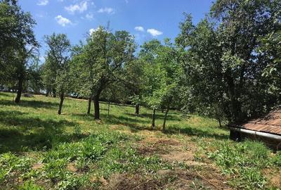 Casă cu Teren 6500 Mp în Dretea - 3