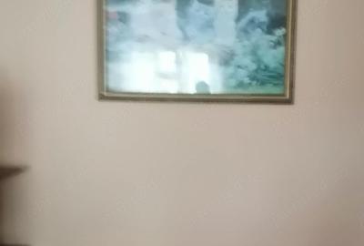 Casă cu 2 camere cu Teren 980 Mp în Chendu - 4