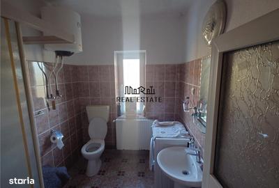 Casă cu 4 camere cu Teren 4977 Mp în Ribița - 7