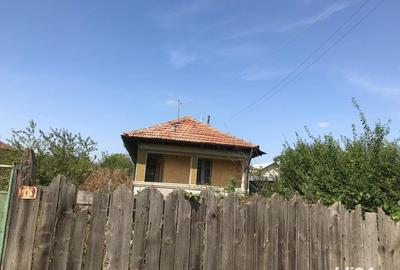 Casă cu 3 camere în Moara Domnească - 1