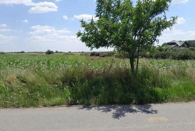 TEISORI /GR - 2 LOTURI LIPITE (TOT. 16500 MP) DE VZ 100K EUR NEG - 10