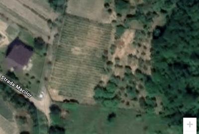 Teren Construcții intravilan de 3500 mp, în Dumbrava 2 - 1