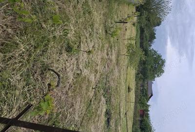 Casă cu 3 camere în Corni - 4