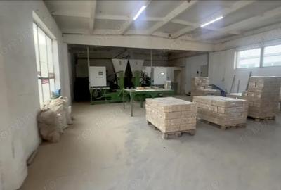 Spațiu comercial, de 630 mp, în Vetiș - 12