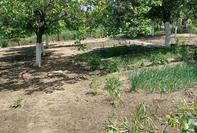 Casa Buzau - zona linistita - 3