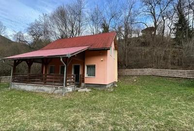 Casa de vacan?a, deosebita, sat Salard com Lunca Bradului Tel - 8