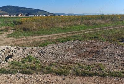 Teren de 529 mp, în Sânpetru - 5