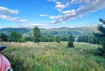 Teren de 1000 mp, în Muntele Băișorii - 5