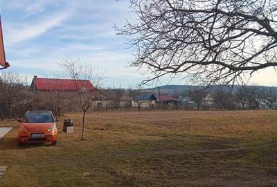 Teren intravilan de 3500 mp, în Păun - 4