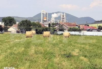 Casă cu 4 camere cu Teren 15277 Mp în Central - 8