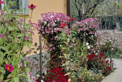 Casă cu 3 camere în Drăgășani - 6