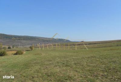 Teren de 15000 mp, în Baciu - 1