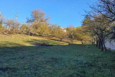 Teren de 1619 mp, în Prajila - 1