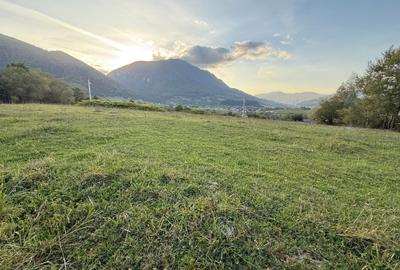 Teren intravilan 500 sau 1000 mp Bran-Tohanita la dum asfaltat Teren intravilan 500 sau 1000 mp Bran-Tohanita la dum asfaltat - 2