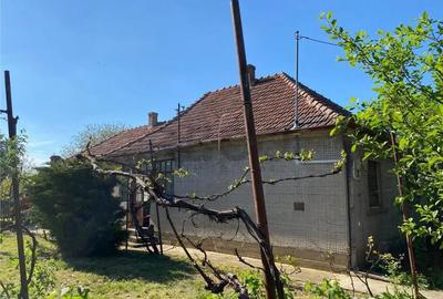 Casă cu 3 camere cu Teren 3000 Mp în Biharia - 12
