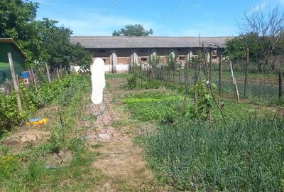Casă cu 2 camere cu Teren 730 Mp în Olari - 2