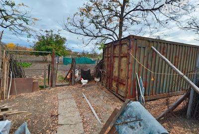 Vand casa Voiteg !!! - 7