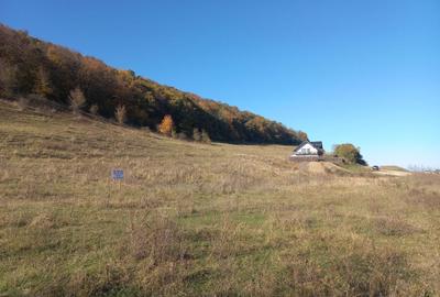 Teren de 895 mp, în Nord - 6