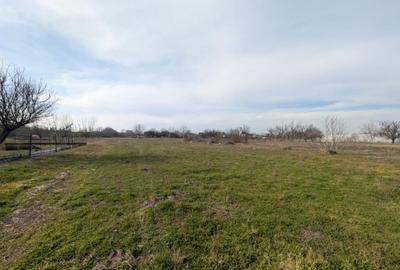 Teren de 6832 mp, în Cornetu