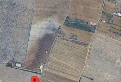 Teren de 1782 mp, în Cernica - 2