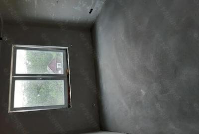 Casă cu 3 camere cu Teren 1501 Mp în Micula - 4