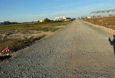 Frumusani Teren construibil 500MP - 6