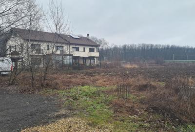 Teren premium 26.651mp Corbeanca – acces la A0 si DN1 - 7