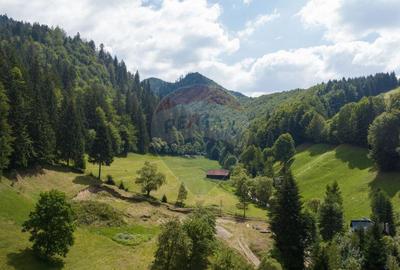 De vanzare Teren cu autoriza?ie de construire, ?im... - 4
