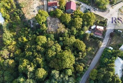 Teren de vanzare , 4834 MP, zona Vladesti