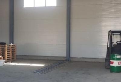 Module hale 120/240/360/480 mp Ciorogarla Autostrada - 4