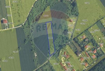 Teren 3000 mp in Snagov zona in dezvoltare, aproape... - 3