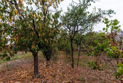 Teren 1.439 mp cu casa batraneasca – Urseni, Vatra Veche - 5
