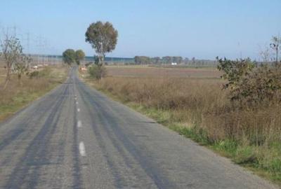 Teren agricol extravilan de 90000 mp, în Istria - 2