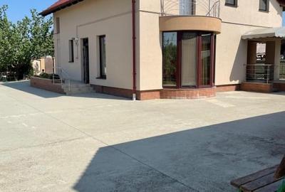 Casa de vanzare in IZVIN jud. Timis - 3