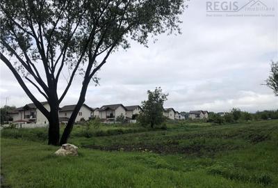 TEREN STRADAL CU UTILITATI | CONSTRUCTII CIVILE | 5000 mp | - 3