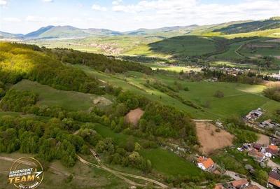 FILM! Teren extravilan cu priveliste deosebita, 11.306 mp, Malnas-Bai, Covasna - 13