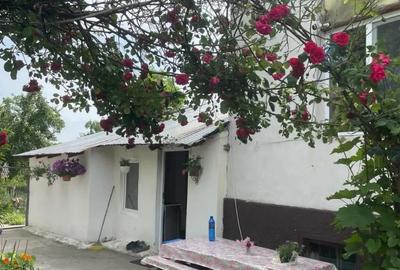Casă cu 3 camere în Mihăești - 7