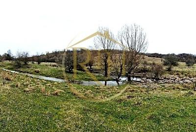 Teren agricol extravilan de 25000 mp, în Secaș - 11
