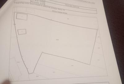 Teren intravilan 4600 mp - 2