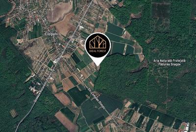 Teren de 465 mp, în Izvorani - 1